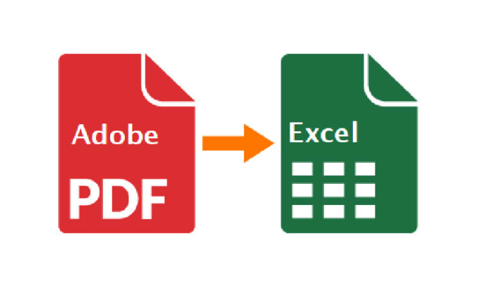 Gig Preview - Do copy past, convert the adobe pdf into word, excel