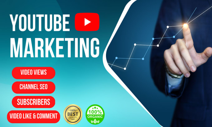 Gig Preview - Do youtube channel SEO, increase views, subscribers, viral video promotion