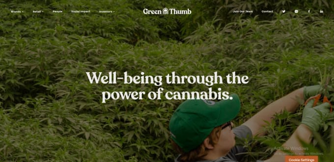 Gig Preview - Cannabis website cbd website cannabis cbd medical store