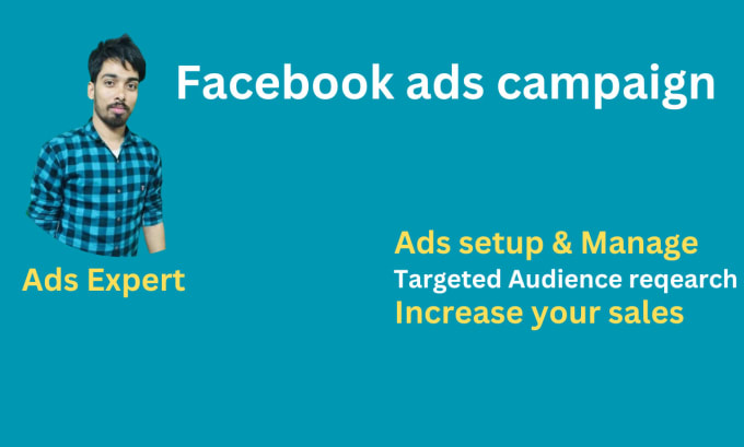 Gig Preview - Setup facebook ads campaign for fb ads manager