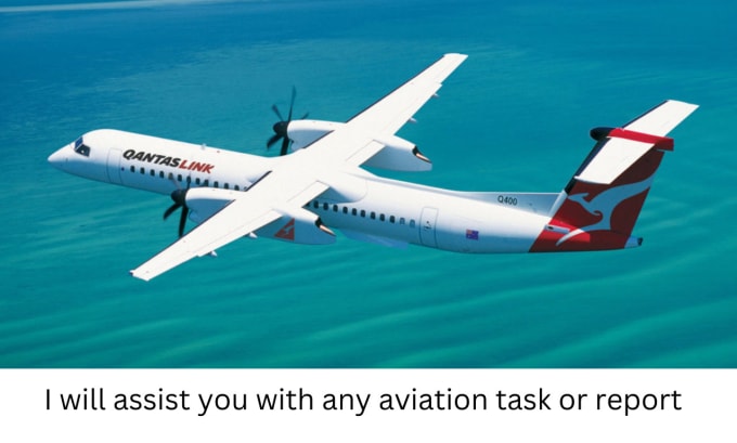 Gig Preview - Assist you with any aviation task or report