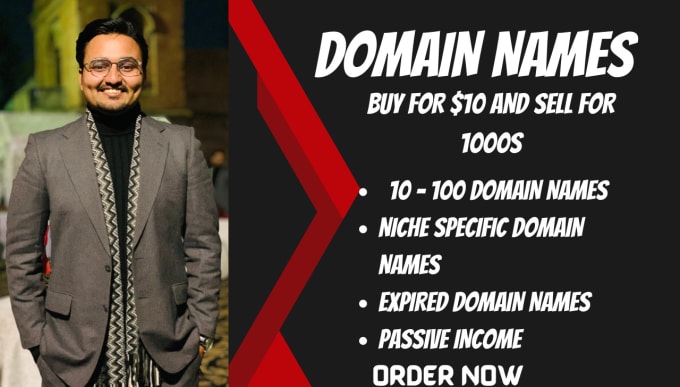 Gig Preview - Find a list of domain names to sell for 1000s passive income