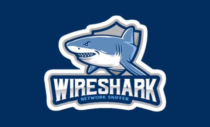 Gig Preview - Do wireshark packet analysis projects