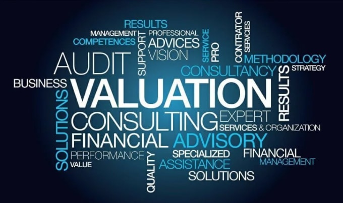 Gig Preview - Do your business valuation and project analysis