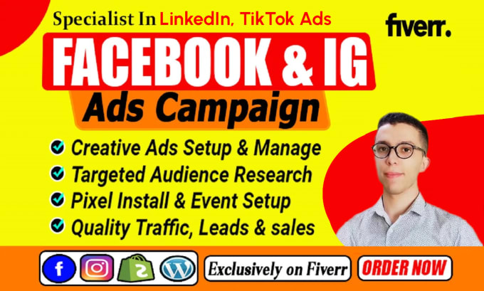 Gig Preview - Be your agency facebook, instagram and tiktok ads manager