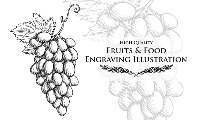 Gig Preview - Draw detailed fruit, plant, or anything with engraving style