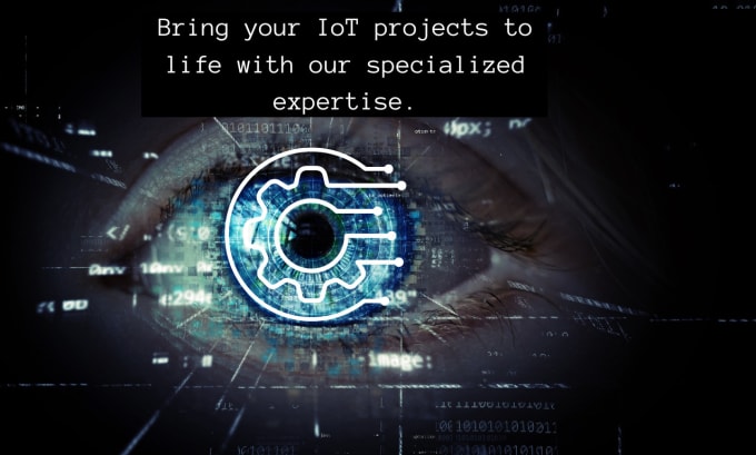 Bestseller - help in custom iot project development