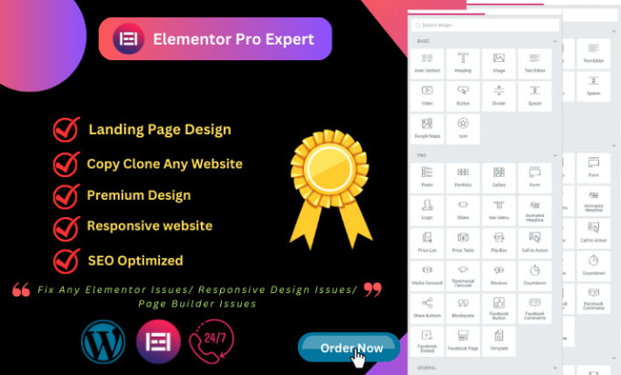 Gig Preview - Design responsive wordpress landing page elementor pro landing page