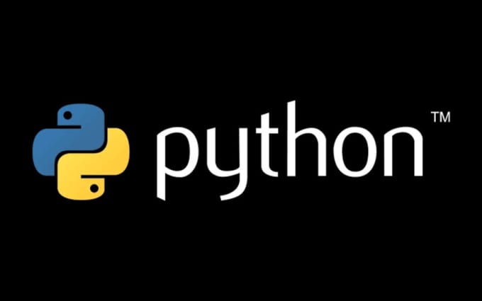 Bestseller - be your python tutor