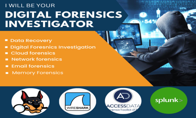 Gig Preview - Do digital forensics, information security and cybercrime investigation