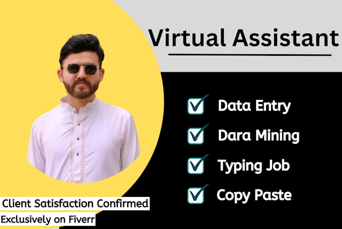 Gig Preview - Be your virtual assistant for data entry