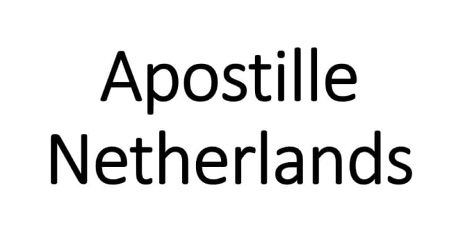 Gig Preview - Get your document apostilled in the netherlands