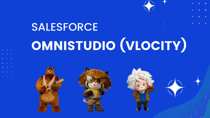 Gig Preview - Be your salesforce omni studio developer and consultant