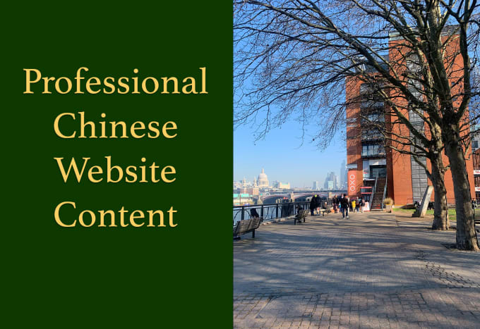 Gig Preview - Write your professional chinese website content