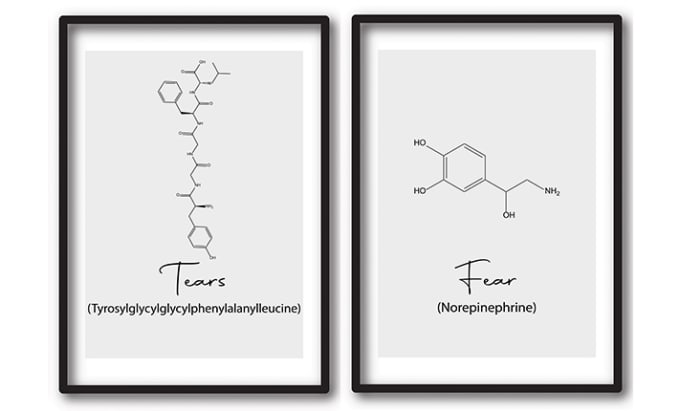 Gig Preview - Draw any chemical mechanism or molecule for you