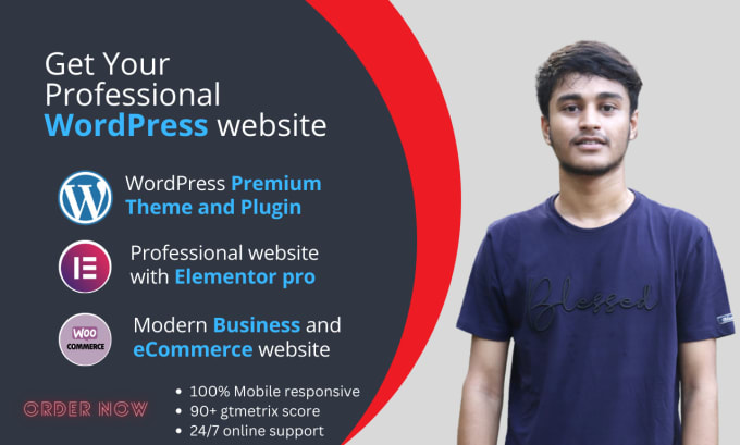 Gig Preview - Build a professional wordpress website