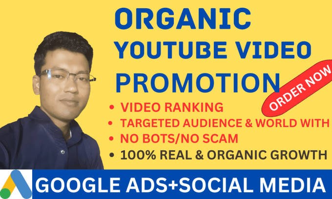 Gig Preview - Do organic USA youtube video SEO and google ads expert