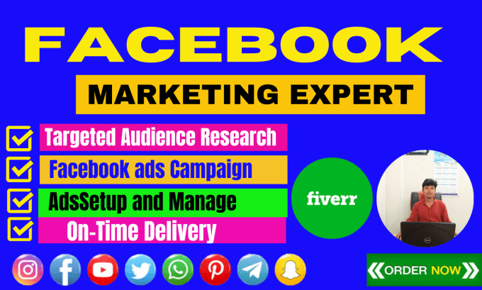 Gig Preview - Do facebook advertising, marketing and promotion, fb ads campaign