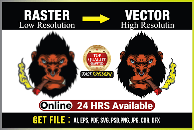 Gig Preview - Vectorize, edit, redraw logo and convert image to vector in adobe illustrator