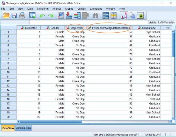 Gig Preview - Do quantitative data analysis using spss and smartpls