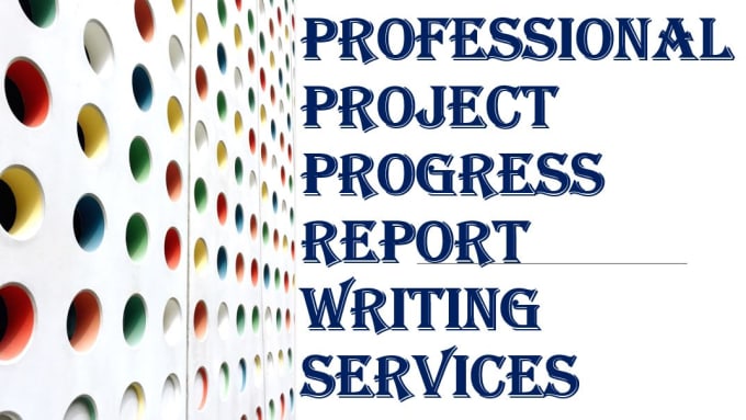 Gig Preview - Offer professional daily project progress reports writing services