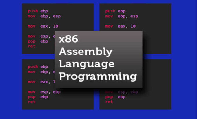 Gig Preview - Help you in assembly language tasks