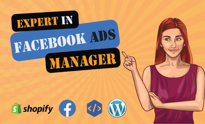 Gig Preview - Setup facebook ads campaign, fb advertising, instagram ads, capi