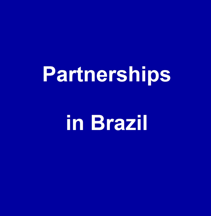 Gig Preview - Find potential partners for you in brazil