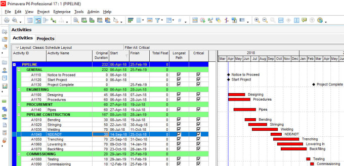 Gig Preview - Prepare the construction schedule using  primavera p6