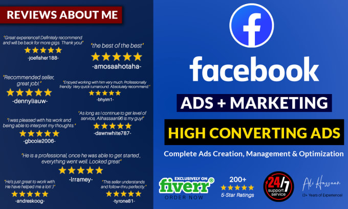 Gig Preview - Create and manage high converting facebook ads for your business