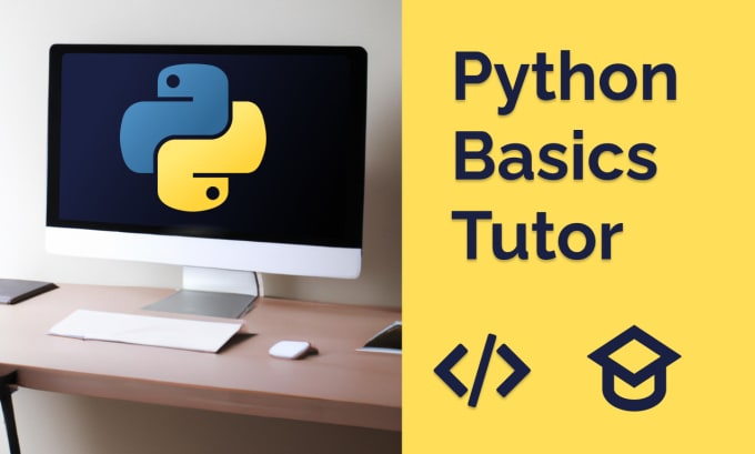 Gig Preview - Tutor you python programming