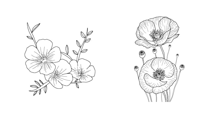 Gig Preview - Draw line art of flowers and flowers tattoo illustrations