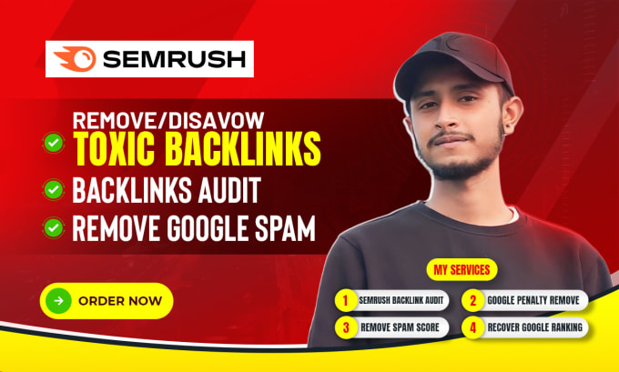 Gig Preview - Disavow bad backlinks and toxic links to remove the spam