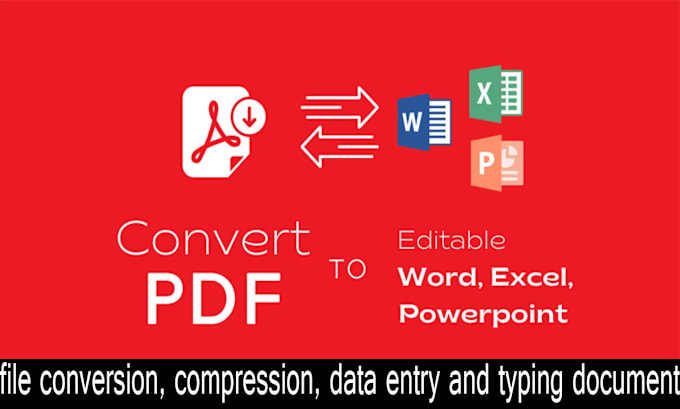 Gig Preview - Do any file conversion, compression, data entry and typing document