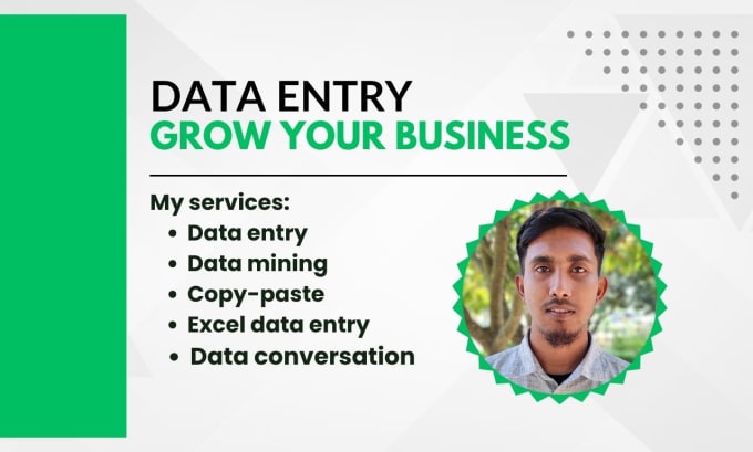 Gig Preview - Do professional data entry services to boost your business