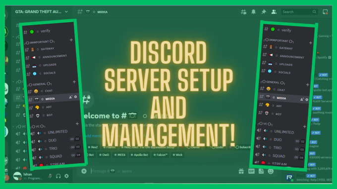 Gig Preview - Make and setup your discord server professionally