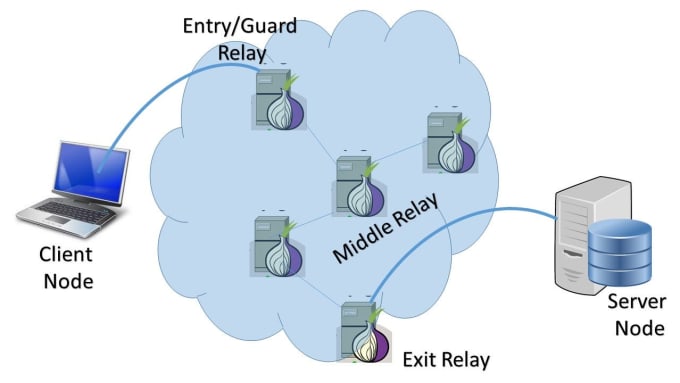 Gig Preview - Install tor relay on your server for ator protocol