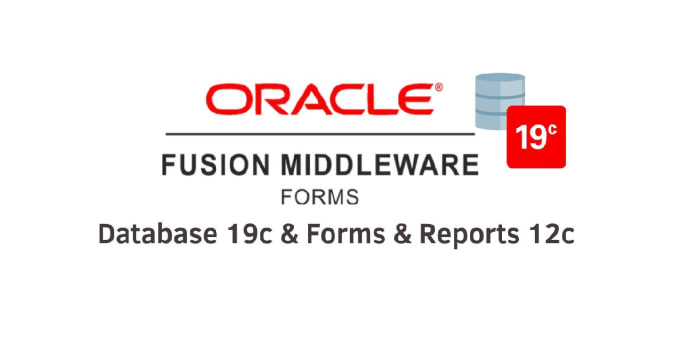 Gig Preview - Oracle erp applications maintenance services