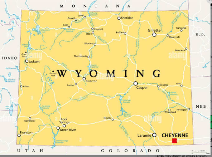 Gig Preview - Do filing of wyoming company state annual report with sos office