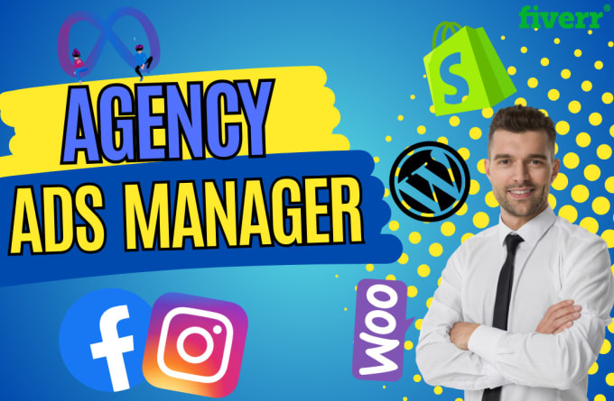 Gig Preview - Be your facebook ads manager and agency media buyer