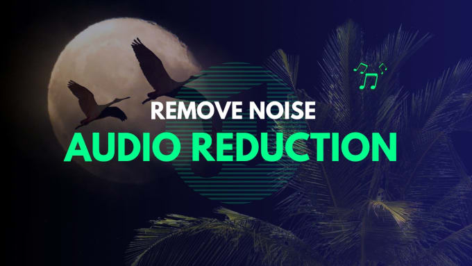 Gig Preview - Remove background noise from audio