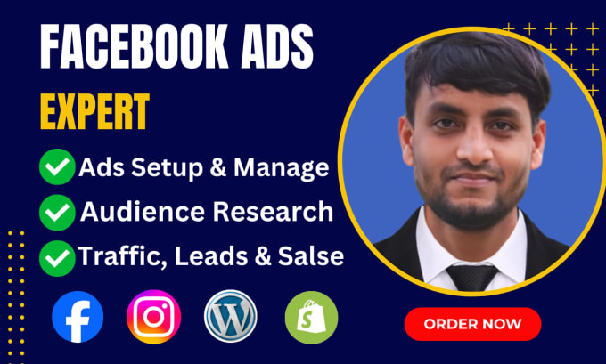 Gig Preview - Setup facebook ads campaign, instagram ads, fb advertising fb marketing