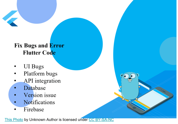 Gig Preview - Fix bugs and error in your flutter website code