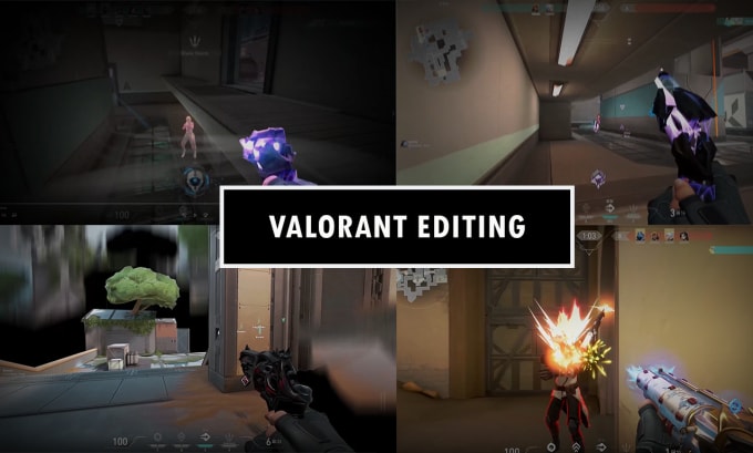 Gig Preview - Edit a valorant or csgo fragmovie with your clips