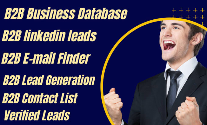 Gig Preview - Do b2b business database data mining data collection lead generation email list