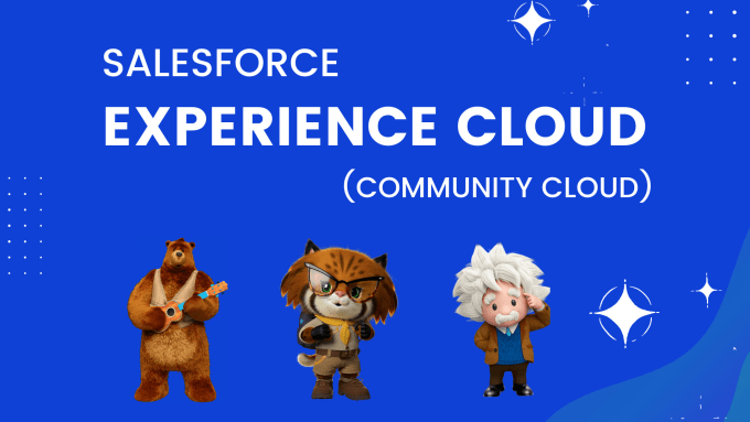 Gig Preview - Built salesforce community site