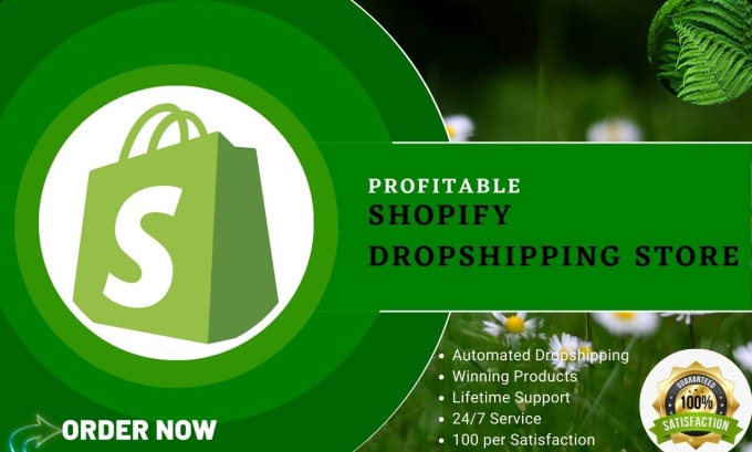 Gig Preview - Create a profitable shopify dropshipping store or customize it