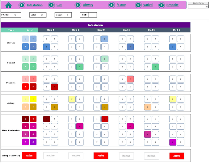 Gig Preview - Automate excel spreadsheets with vba macros and formulas