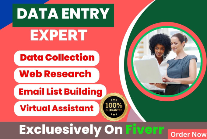 Gig Preview - Do data entry, copy paste any type of web research data entry