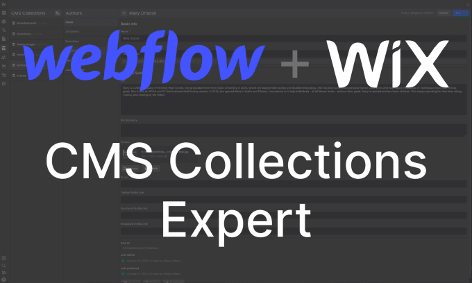 Gig Preview - Build the perfect webflow or wix cms collection data structure for your website